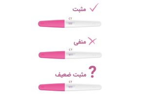 خرید و قیمت بی بی چک