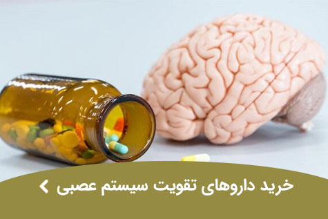 nervous systems