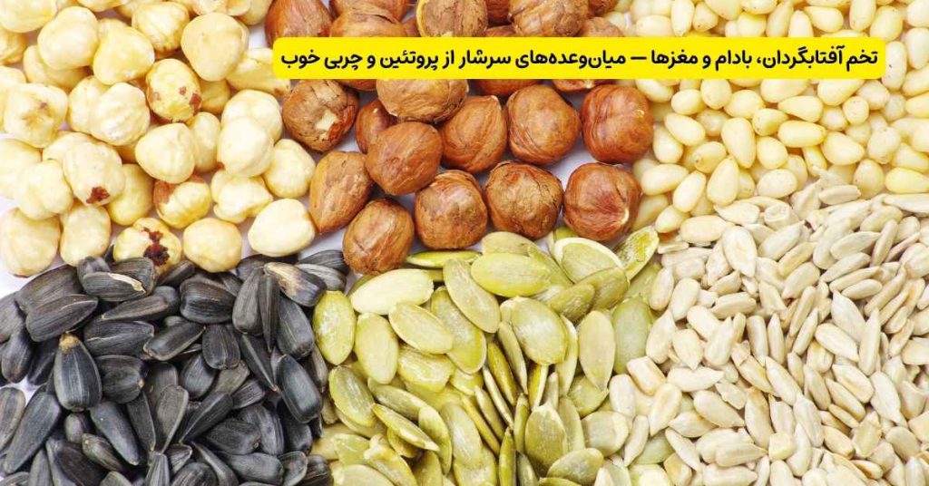تخم آفتابگردان، بادام و مغزها — میان وعده های سرشار از پروتئین و چربی خوب