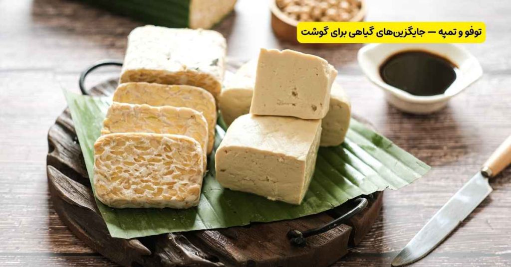 توفو و تمپه — جایگزین های گیاهی برای گوشت