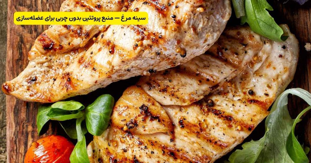 سینه مرغ — منبع پروتئین بدون چربی برای عضله سازی