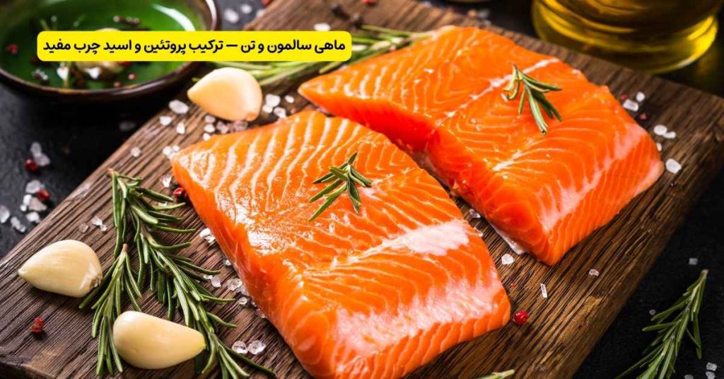 ماهی سالمون و تن — ترکیب پروتئین و اسید چرب مفید