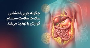 چربی احشایی چگونه سلامت دستگاه گوارش را تهدید می‌کند؟